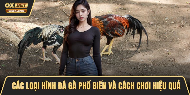 Các loại hình đá gà