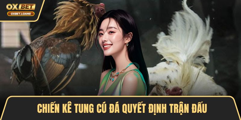 Chiến kê tung cú đá quyết định trận đấu