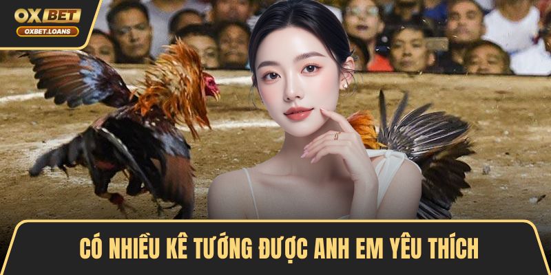 Có nhiều kê tướng được anh em yêu thích