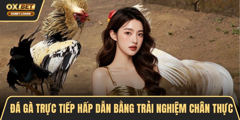 Đá gà trực tiếp