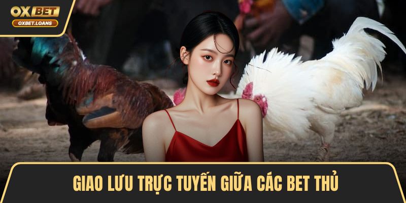 Giao lưu trực tuyến giữa các bet thủ