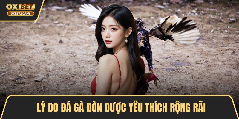 Lý do đá gà đòn được yêu thích rộng rãi