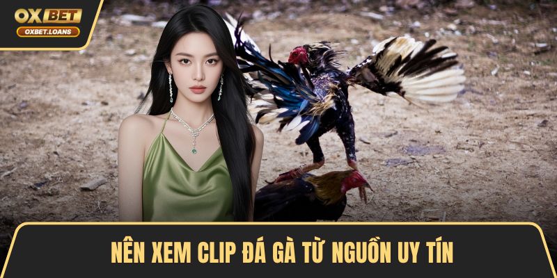 Nên xem clip đá gà từ nguồn uy tín