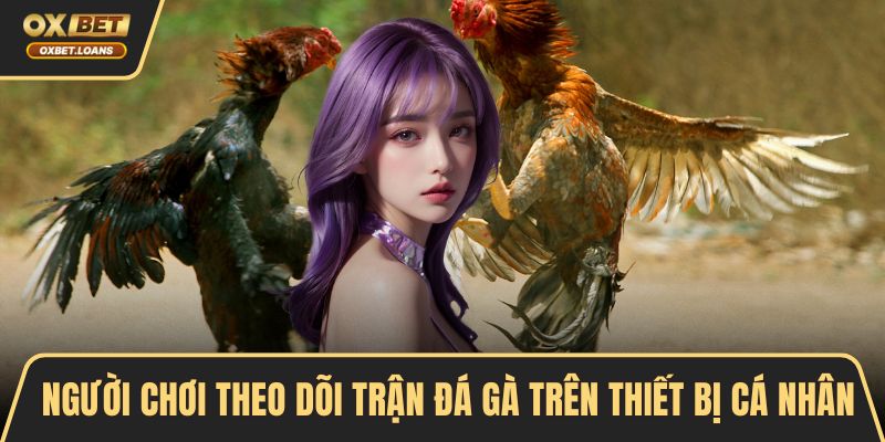 Người chơi theo dõi trận đá gà trên thiết bị cá nhân