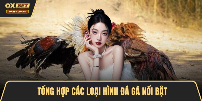 Tổng hợp các loại hình đá gà nổi bật