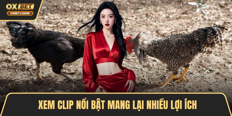 Xem clip nổi bật mang lại nhiều lợi ích