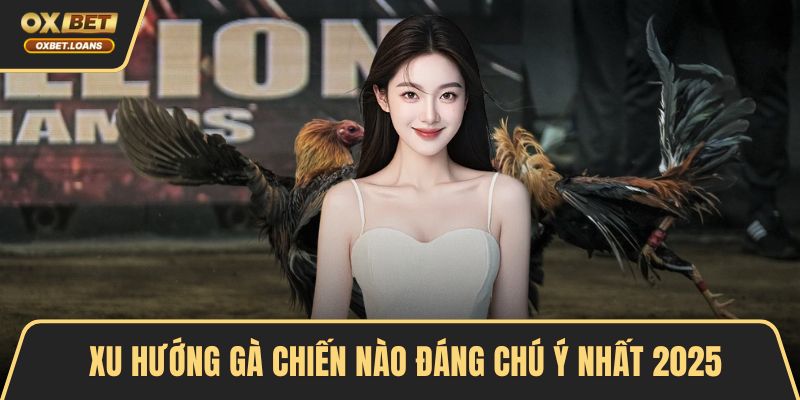 Xu hướng gà chiến nào đáng chú ý nhất 2025